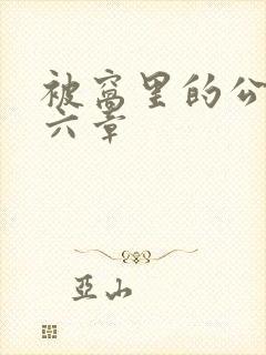 被窝里的公息第六章