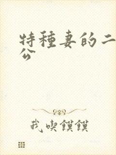 特种妻的二手老公