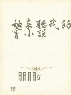 她来听我的演唱会小说