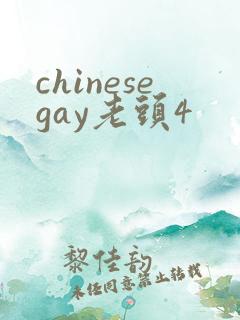 chinesegay老头4