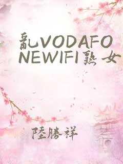 乱VODAFONEWIFI熟女