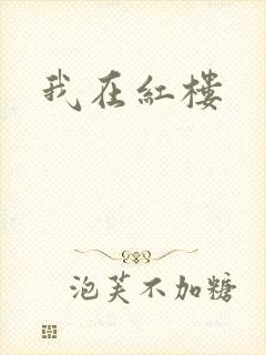 我在红楼