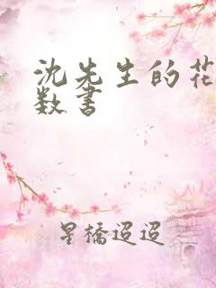 沈先生的花式调数书