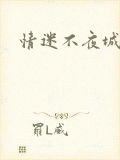 情迷不夜城