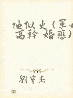 他似火 (军婚 高干 婚恋)