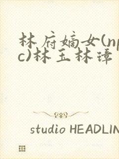 林府嫡女(npc)林玉林璋