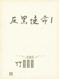 反黑使命1
