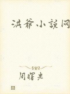 洪爷小说网