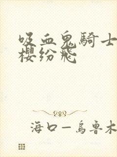 吸血鬼骑士之落樱纷飞