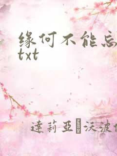 缘何不能忘记你txt