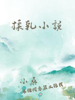 揉乳小说