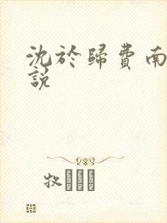 沈于归费南城小说