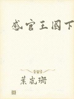 感官王国下载