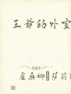 王爷的外室