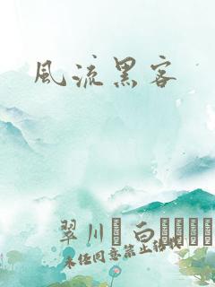 风流黑客