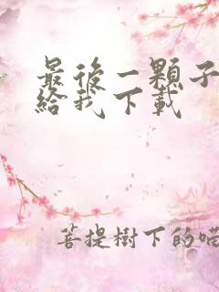 最后一颗子弹留给我下载