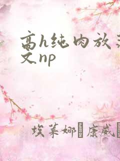 高h纯肉放荡h文np