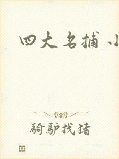 四大名捕 小说