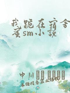 我跪在宿舍被闺蜜sm小说