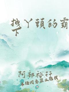 拽丫头的霸道殿下