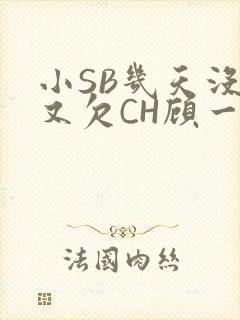 小SB几天没做又欠CH顾一成