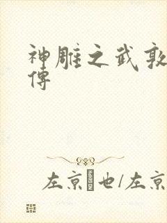 神雕之武敦儒大传