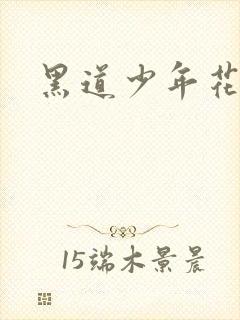 黑道少年花丛游
