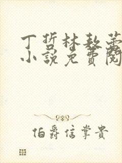 丁哲林敖蕾主角小说免费阅读笔趣