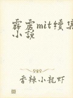 霹雳mit续集小说