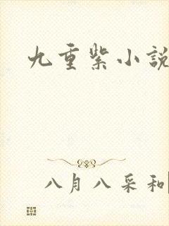 九重紫小说