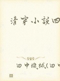 清穿小说四四