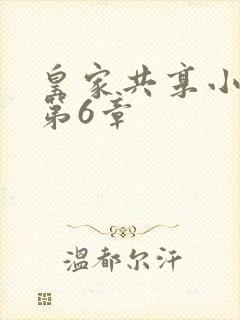 皇家共享小公主第6章