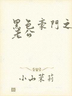 黑色豪门之王子老公