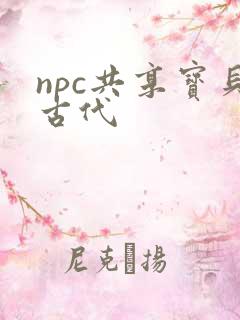 npc共享宝贝古代