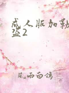 成人版加勒比海盗2