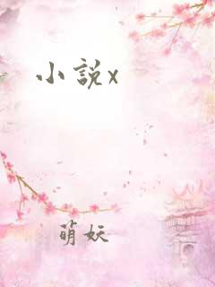 小说x