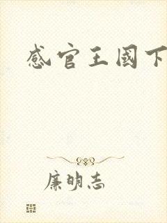 感官王国下载