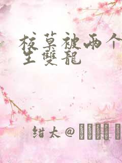 校草被两个体育生双龙