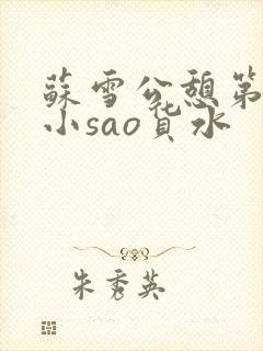 苏雪公憩第一章小sao货水