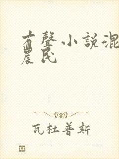 有声小说混世小农民