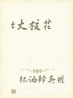 t大校花