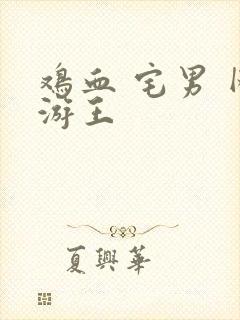 鸡血 宅男 网游王