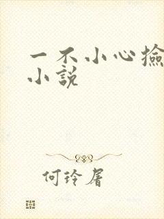 一不小心捡到爱小说