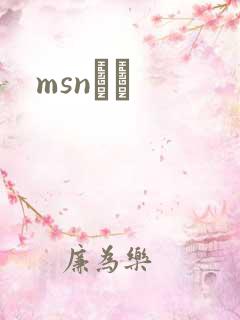 msnС˵