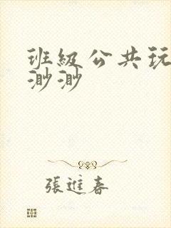 班级公共玩具叶渺渺