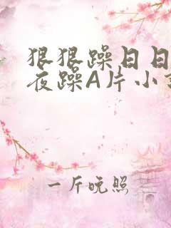 狠狠躁日日躁夜夜躁A片小说