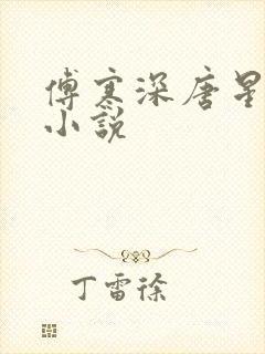 傅寒深唐星挽的小说