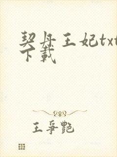 契丹王妃txt下载