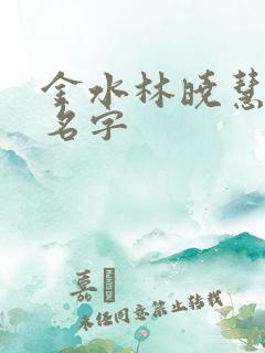 金水林晓慧小说名字