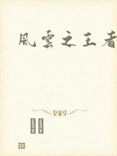 风云之王者人生